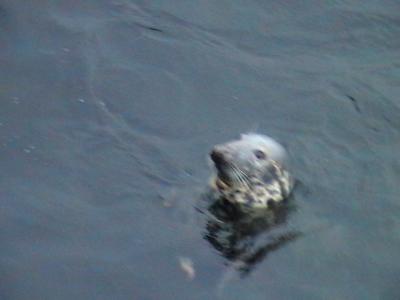 20070908205126-imga0130.jpg